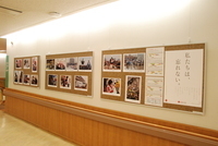 廊下に掲示されている救護活動の写真