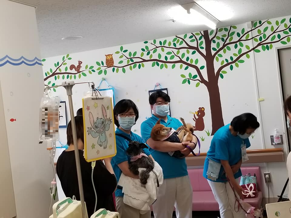 アニマルセラピー(協力:日本動物病院様)