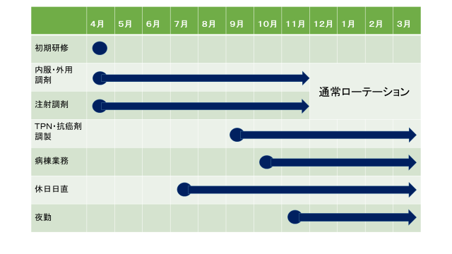 新人薬剤師の育成年間スケジュール