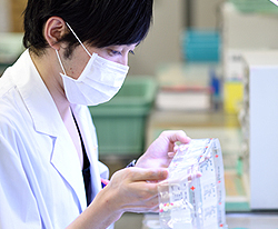 包装されたお薬を確認する薬剤師の様子